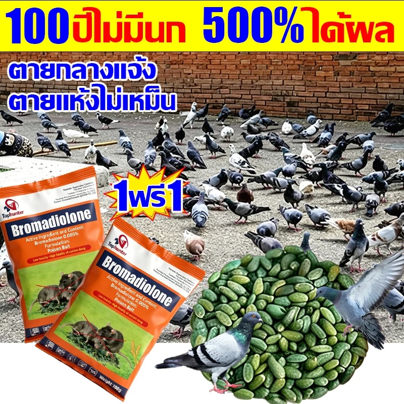 บอกลาขี้นกที่กวนใจ ยาเบื่อ นกพิราบ ยาฆ่านกพิราบ ทำลายอวัยวะภายในตายใน 1วัน แห้งเร็วและไม่มีกลิ่น เหยื่อกำจัดนกพิราบ