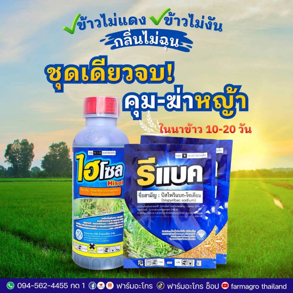 ไฮโซล + รีแบค คุม/กำจัดหญ้า ในข้าวอายุ 10-20วัน