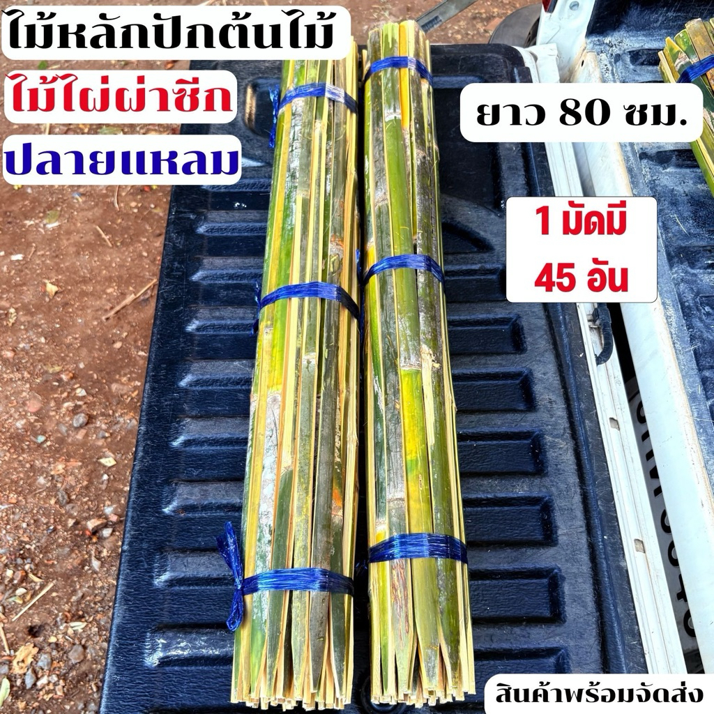 ไม้หลักปักต้นไม้ ยาว 80 เซนติเมตร 1 มัดมี 45 อัน ปลายแหลม ไม้ยึดต้นไม้ ไม้ไผ่ผ่าซีก สินค้าพร้อมจัดส่ง