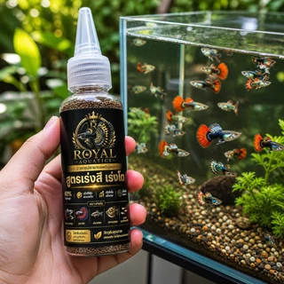 Royal Aquatics อาหารปลาหางนกยูง โปรตีน 60% สูตรเร่งสี เร่งโต เม็ดเล็กมาก ลูกปลากินได้ เกรดพรีเมียม