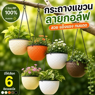 กระถางแขวนดอกไม้ มินิมอล สีสันสดใส พร้อมสายโซ่ แข็งแรง ทนทาน ราคาคุ้มค่า เหมาะกับตกแต่งสวนและบ้านCOD