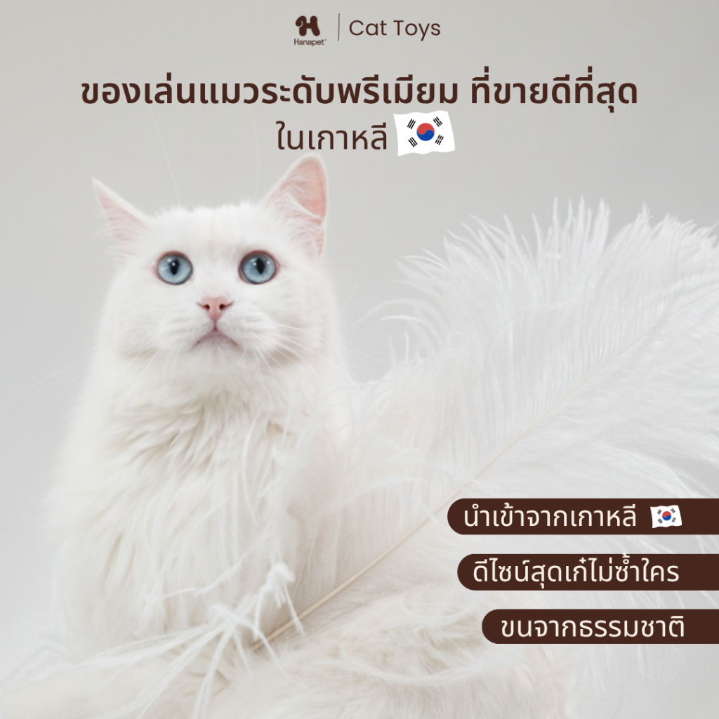 Hanapet - 2026 Collection - ไม้ตกแมวขนนก/ขนสัตว์แท้ 100% ไม้ล่อแมวคุณภาพสูงนำเข้าจากเกาหลี