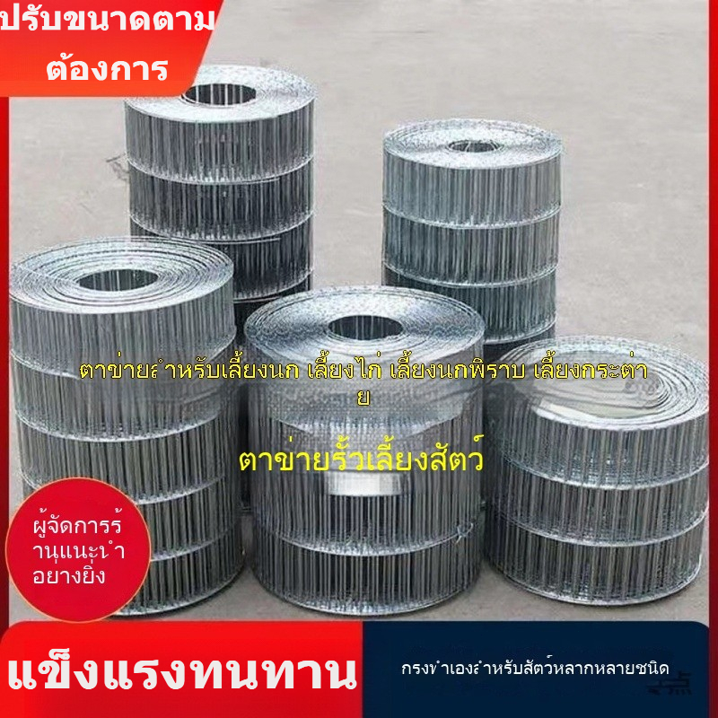 ลวดตาข่ายทำกรงไก่ กรงกระต่าย กรงนก กรงนกพิราบ ตาข่ายเหล็กรูยาว ตาข่ายสแตนเลส