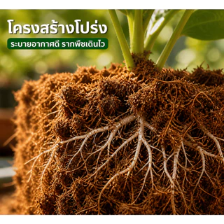 Yhome ขุยมะพร้าวอัดก้อน เกรดพรีเมียม (Coco Coir Brick) 100% ขุยมะพร้าวอัดก้อน สำหรับปลูกต้นไม้ พองตัวเร็ว