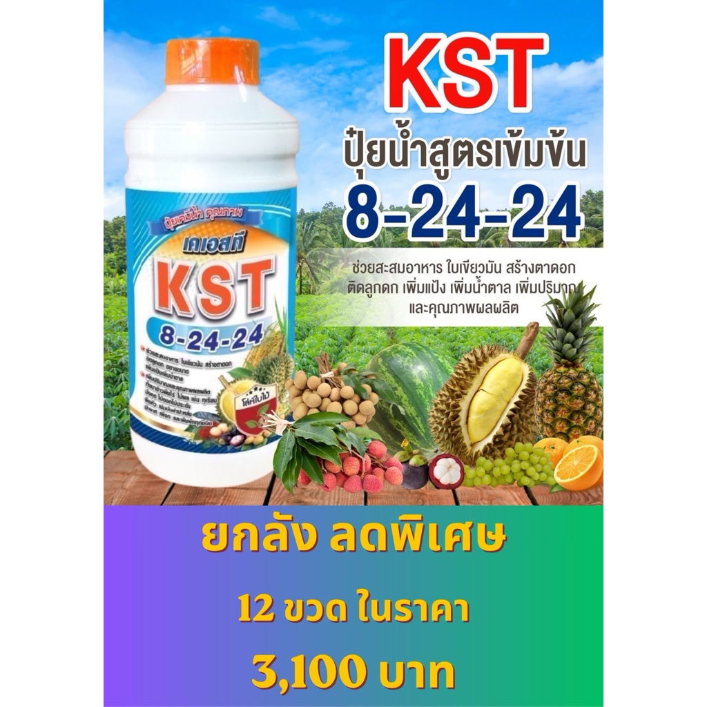 KST 8-24-24 ปุ๋ยน้ำสูตรเข้มข้น ยกลัง 12 ขวด