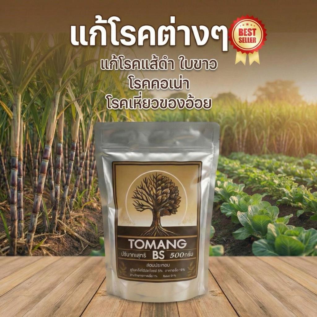 โตแมงบีเอส จัดการแส้ดำ ใบด่าง รากเน่าคอเน่า ใหม่! ขนาด 500g ราคาสุดคุ้ม