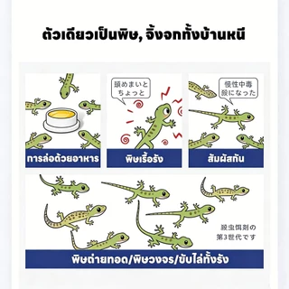 แค่วางไว้ จิ้งจกหนีเอง! DX ยาฆ่าจิ้งจก ยาฆ่าตุ๊กแก ยาไล่จิ้งจก ญี่ปุ่นสูตรแรง ปลอดภัย ไม่มีไอระเหย กำจัดเกลี้ยง