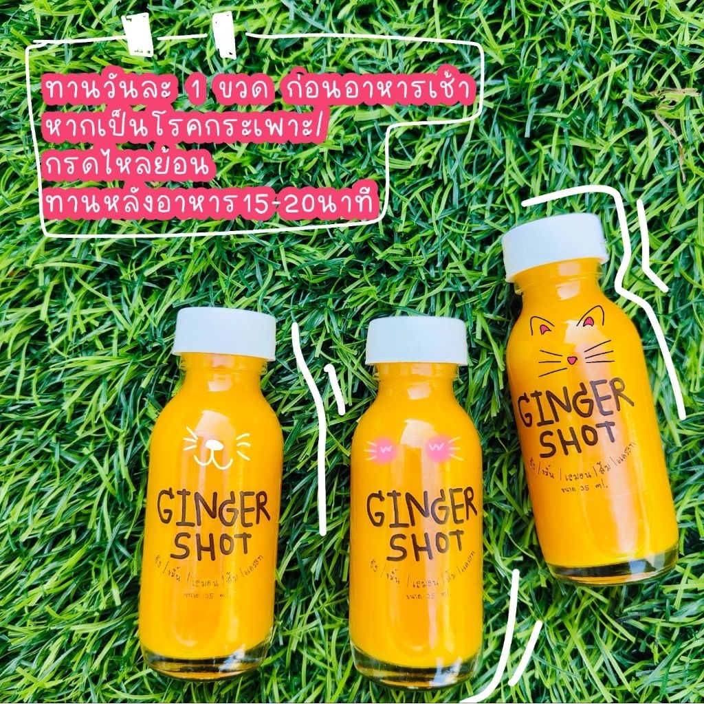 Ginger Shot เซท 7 ขวด