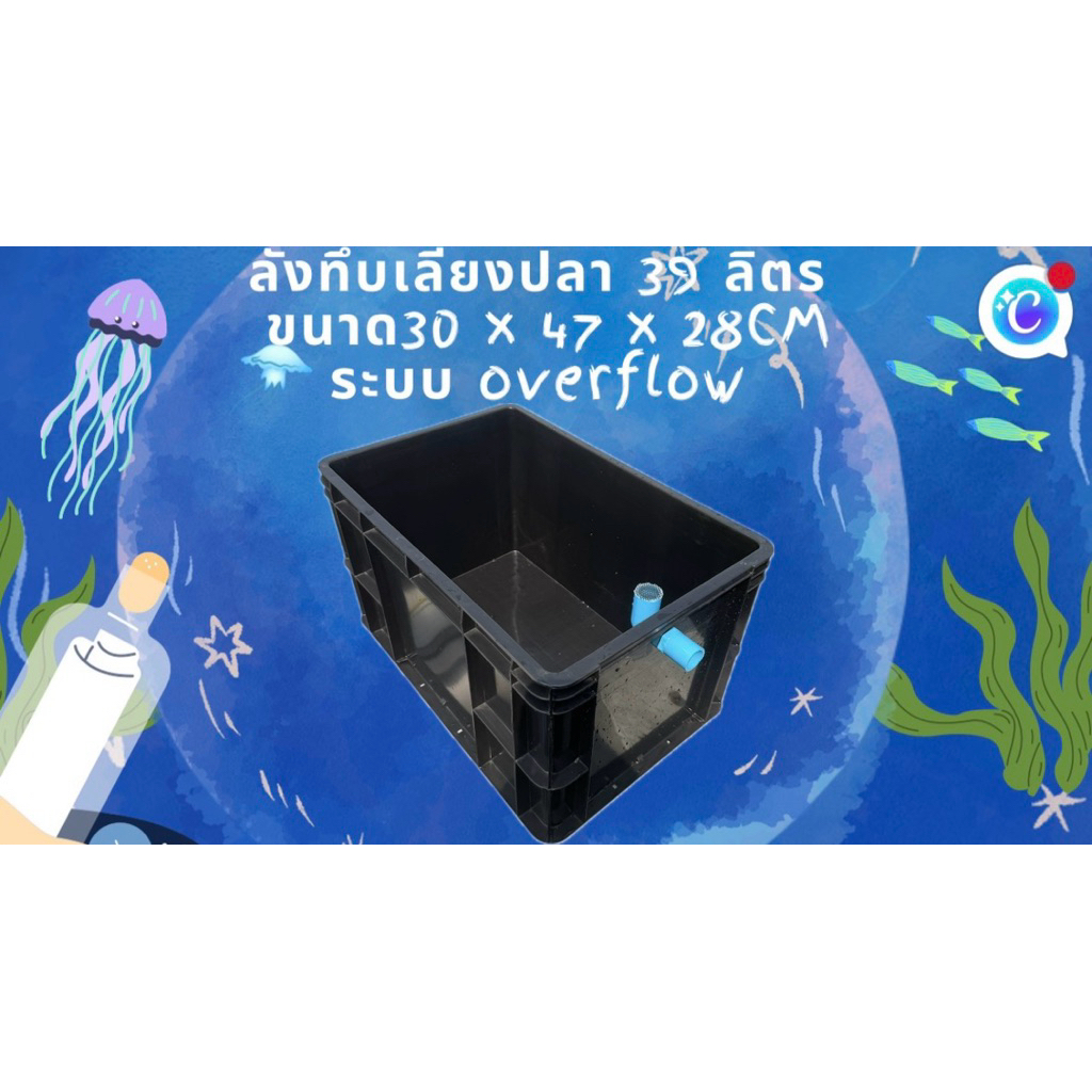 ลังทึบเลี้ยงปลาสีดำ 39 ลิตร ระบบoverflow ท่อฟ้า อ่างเปล อ่างปลาบอลลูน อ่างปลาหางนกยูง อ่างเลี้ยงปลา 