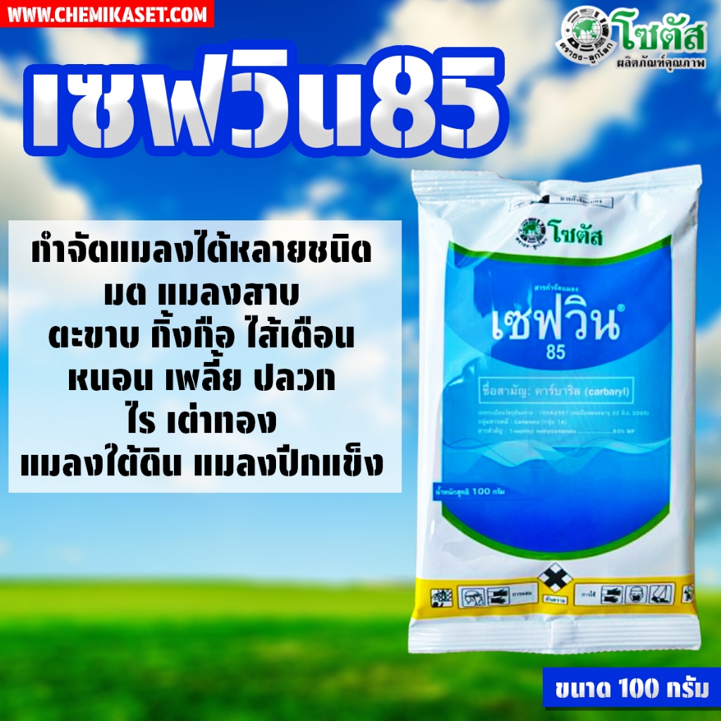 เซฟวิน 85 (คาร์บาริล) ขนาด 100 กรัม กำจัดแมลงได้หลายชนิด เพลี้ยไฟ เพลี้ยแป้ง เพลี้ยอ่อน แมลงปีกแข็ง