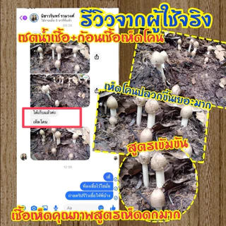 ก้อนเชื้อเห็ดโคน หัวเชื้อสูตรเข้มข้นเจ้าแรกในไทย