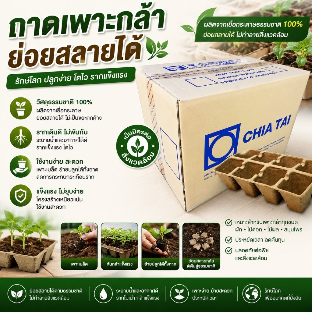 ถาดเพาะกระดาษรักษ์โลก ขนาด 8 หลุม หลุมใหญ่ จุใจ ขนาดกว้าง 14 เซนติเมตร ลึก 7 เซนติเมตร