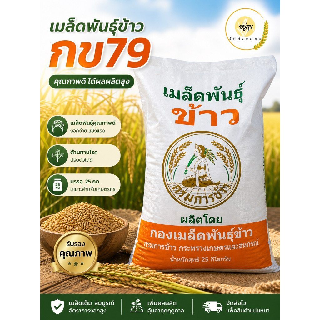 เมล็ดพันธุ์ข้าว กข79 (ชัยนาท 62) ชั้นพันธุ์ขยาย กรมการข้าว ข้าวเจ้าพื้นนุ่ม  25 กก.(ยกกระสอบ)