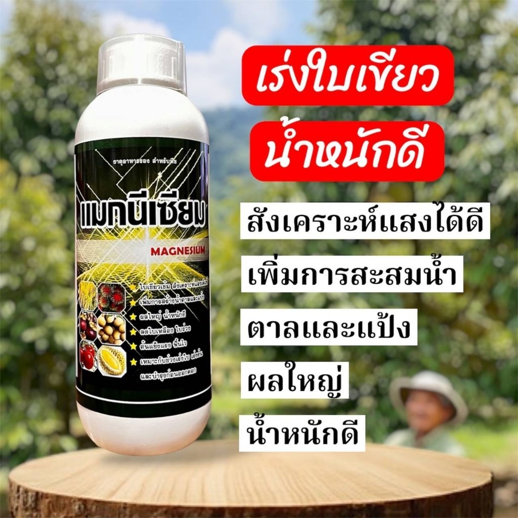 แมกนีเซียม กำมะถัน แมงกานีส โบรอน ใบเขียวเข้ม เร่งใบแก่เร็ว กระตุ้นการกินปุ๋ยเก่ง พืชโตไว