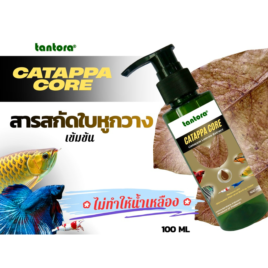 สารสกัดแท้จากใบหูกวาง Tantora Catappa Core ใช้แล้วไม่ทำให้น้ำเหลือง ลดความเครียดสัตว์น้ำ สมานแผล ลดpH ลดแอมโมเนีย ปลากัด