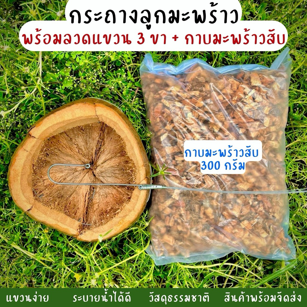 กระถางลูกมะพร้าว กระถางมะพร้าว กล้วยไม้ มีกระถาง ลวด มะพร้าวสับ300กรัม