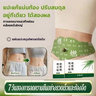 แพทช์ โกฐจุฬาลัมพา,แผ่นแปะสมุนไพรเผาผลาญไขมัน,แผ่นแปะปุ่มท้อง,แผ่นแปะหน้าท้องกระชับสัดส่วน พุงบาง