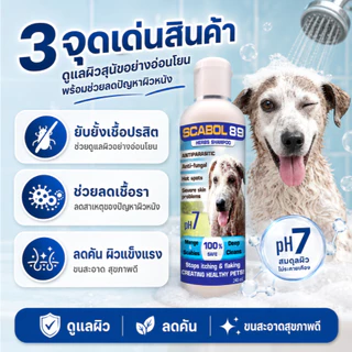 แชมพูสุนัข แก้คัน เชื้อรา ขนร่วง หยุดเกา Scabol 89 ลดกลิ่น ผิวแข็งแรง อ่อนโยน 240ml