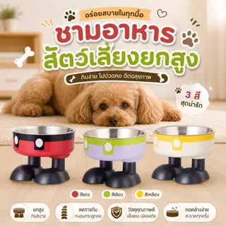 Boqi Factory ชามอาหารสัตว์เลี้ยง ชามอาหารแมว ทรงยกสูง น่ารักมินิมอล 2ชั้นถอดได้ CW382