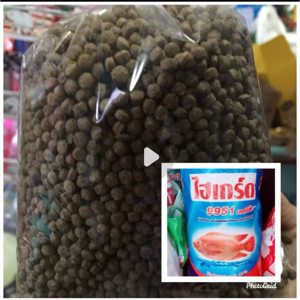 แบ่งขาย ไฮเกรดเทอร์โบ ปลาทับทิม กิโลล่ะ 62 โปรตีน 35%