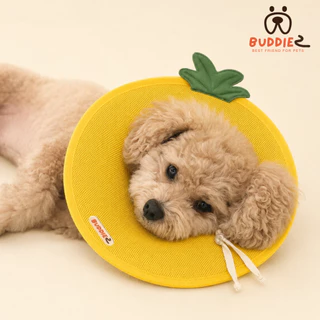 Buddiez ปลอกคอกันเลีย น้องหมาน้องแมว ผ้าตาข่ายมีฟองน้ำซัพพอร์ต ลายผลไม้สุดคิ้วท์ นุ่มใส่สบาย ไม่อับชื้น ระบายอากาศได้ดี