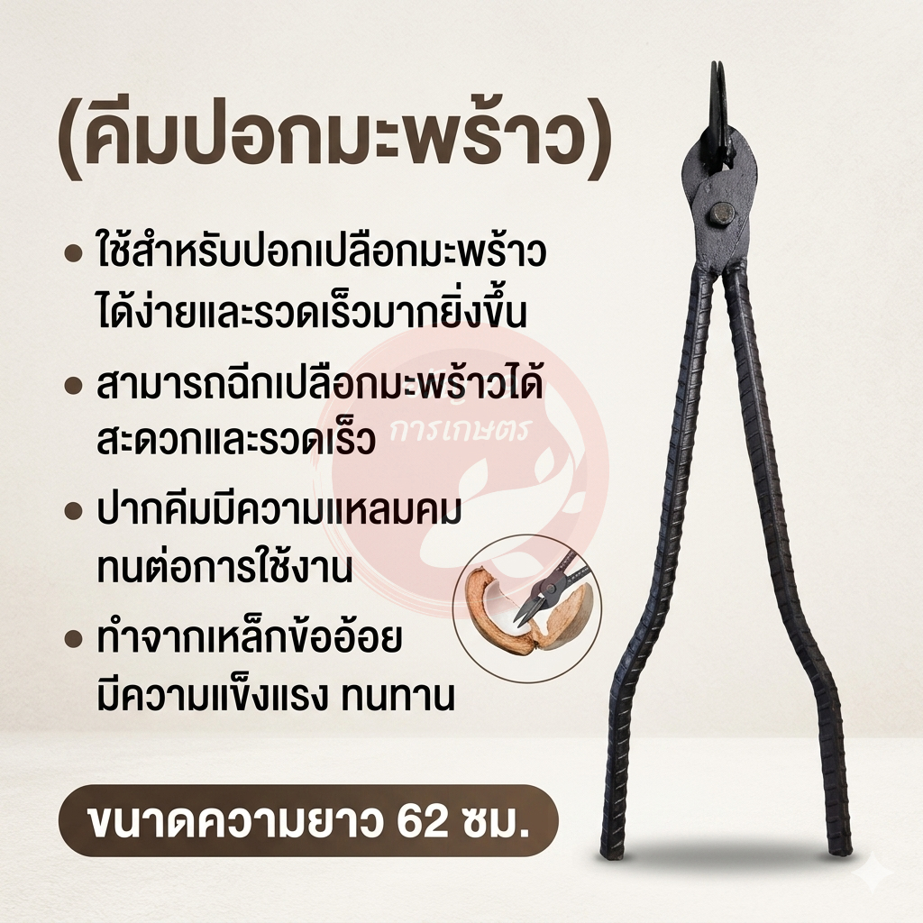 คีมปอกมะพร้าว คีมปอกเปลือก ที่เฉาะเปลือก เหล็กปอกเปลือกมะพร้าว เฉาะผล