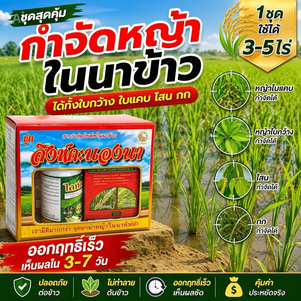 ยาฆ่าหญ้านาข้าว ใบกว้าง-ใบแคบ “สิงห์คะนองนา”ตายเรียบ เห็นผลไว ใช้ได้ 3-5 ไร่
