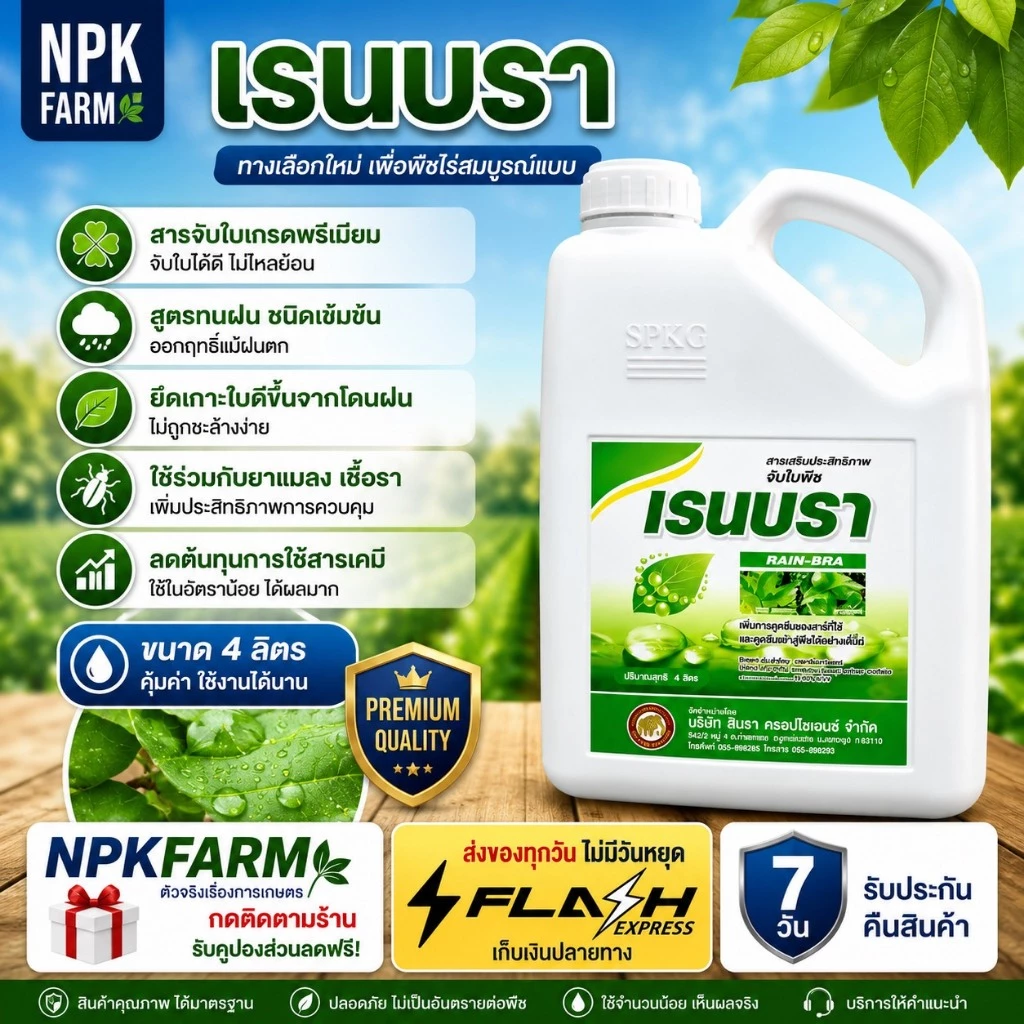 เรนบรา ขนาด 4 ลิตร สารจับใบชนิดเข้มข้น สูตรทนฝน สารเพิ่มประสิทธิภาพดูดซึม ปรับสภาพน้ำ ลดต้นทุน