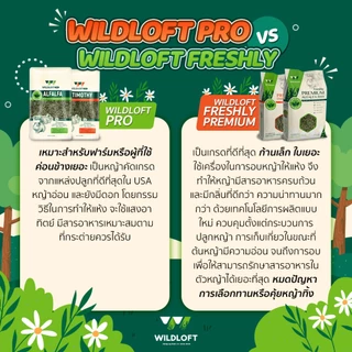 หญ้าทิโมธี Pro ขนาด 1 kg แบรนด์ Wildloft