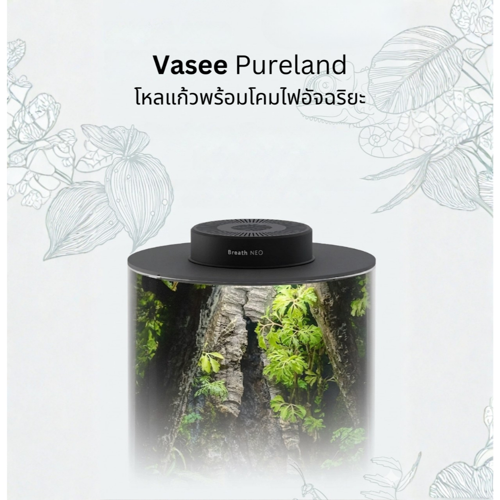 VASEE PURELAND & BREATH NEO โหลแก้วสวนขวด Terrarium และโคมไฟพร้อมพัดลมในตัว สำหรับปลูกต้นไม้หรือเลี้ยงสัตว์