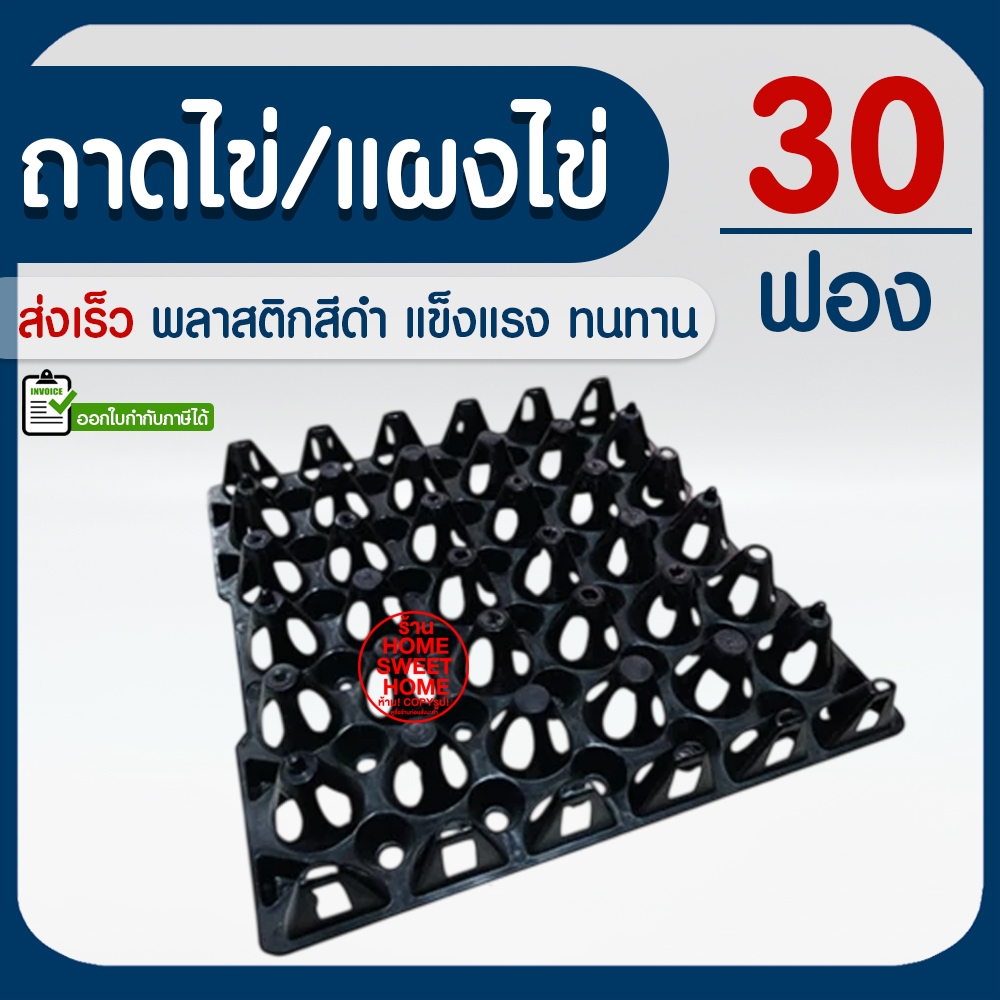 ถาดไข่พลาสติก ถาดไข่ แผงไข่ ถาดไข่30ฟอง สีดำ เหนียว ทนทาน แข็งแรง ไข่ไก่ ไก่ ไข่ สัตว์ปีก เลี้ยงไก่ สัตว์ promo