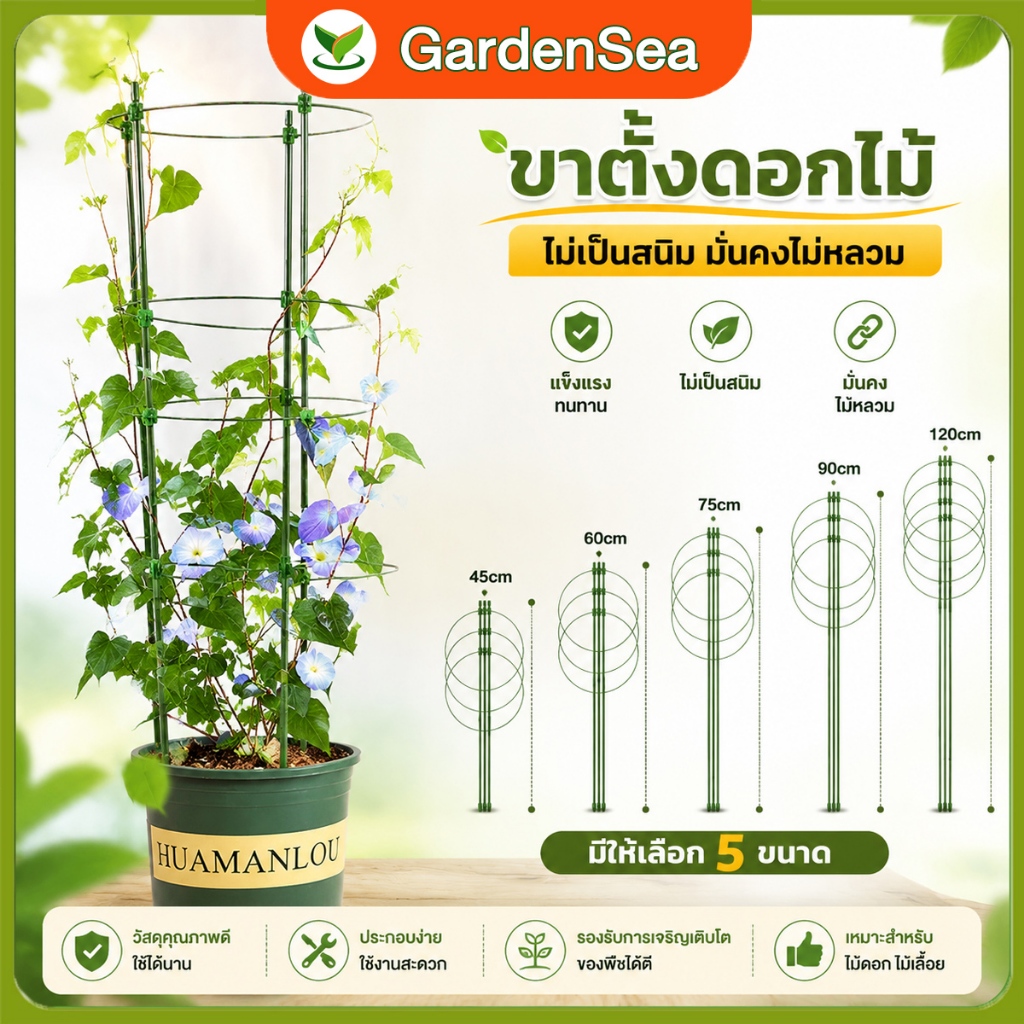 【COD】กรงพืช โครงเถาวัลย์ เสามะเขือเทศ 45/60/75/90/120ซม ซุ้มไม้ โครงปลูก อุปกรณ์สำหรับพืชไม้เลื้อย 3pcs ไม้เลื้อย