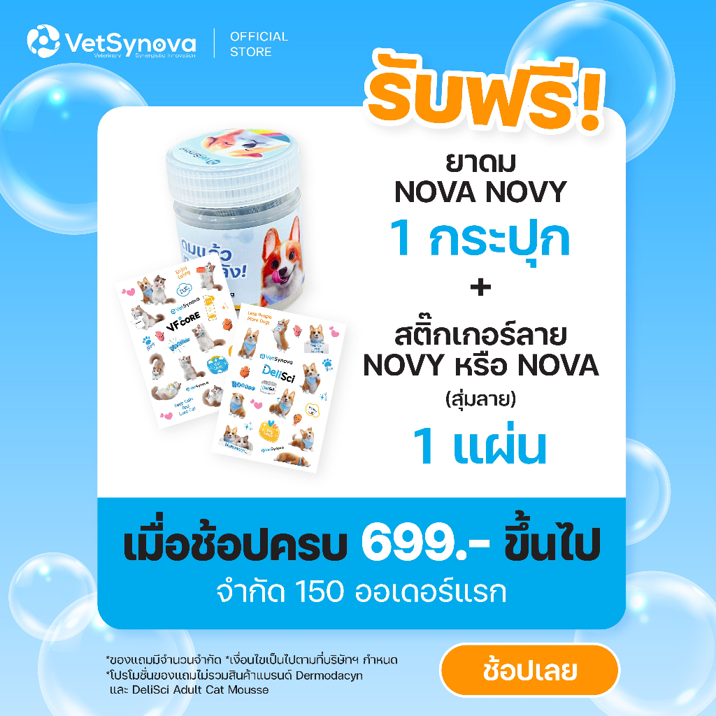 (สินค้าสมนาคุณ) ยาดม Novy Nova 1 กระปุก และสติ๊กเกอร์ลาย Novy หรือ Nova (แบบสุ่ม) 1 ชุด ราคา ถูกที่สุด ดีลบีเคเค รูปภาพหลัก