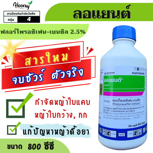 💥สารใหม่💥ลอแยนต์ 800 ซีซี (ฟลอร์ไพรอซิเฟน) กำจัด หญ้าข้าวนก ดื้อยา กก วัชพืชใบกว้าง