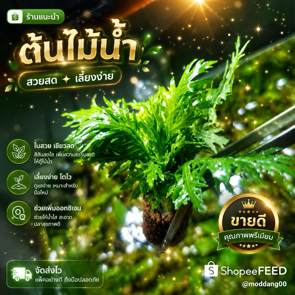 🎋ไม้น้ำ​แต่ง​ตู้ปลา(5แถม1)​ดาวกระจาย