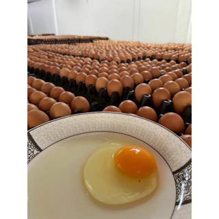 ไข่ไก่ เบอร์0 30ฟอง ปลอดสารพิษ ส่งฟรี