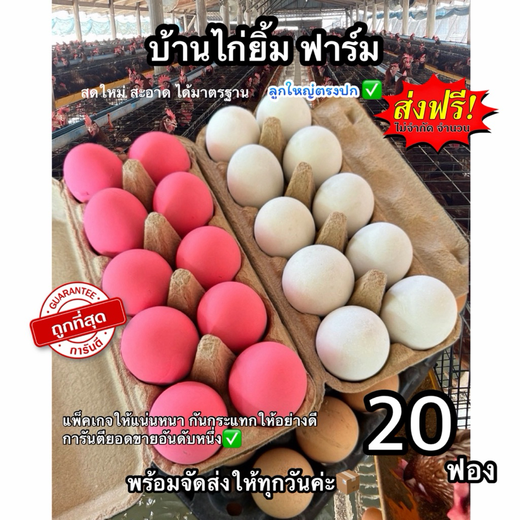 ไข่เค็ม10ฟอง ไข่เยี่ยวม้า10ฟอง สูตรสมุนไพร ส่งฟรี