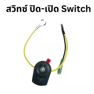 สวิตช์ เปิด-ปิด เครื่องยนต์เบนซิน 5.5 6.5 GX160 GX168 SINSHOP