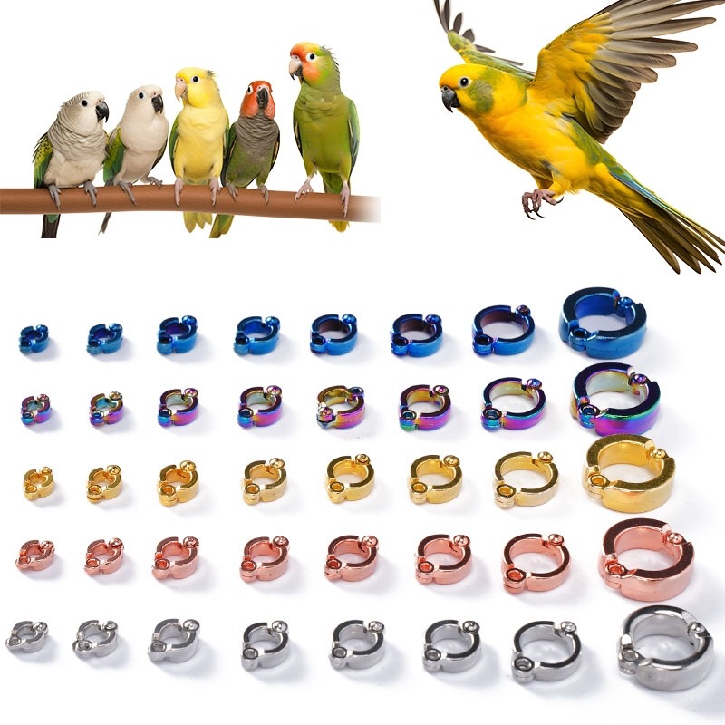 ห่วงขานก มี 3 สี สีเงิน สีทอง สีโรสโกลด์ ห่วงนก4-15mm ห่วงนกกรงหัวจุก ห่วงนกฟอพัส อุปกรณ์เลี้ยงนก