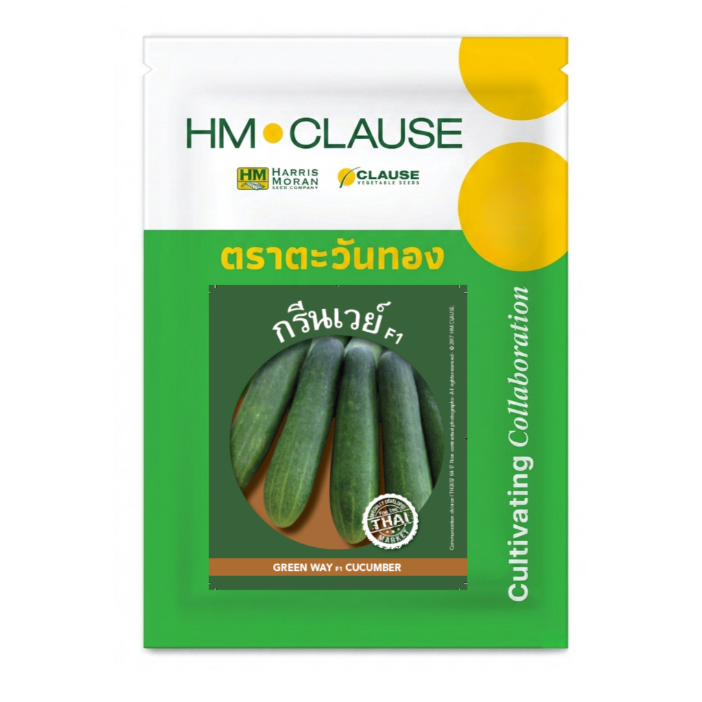 HM.CLAUSE ตราตะวันทอง แตงร้าน สายพันธุ์ลูกผสม สตรอง 89 (CUCUMBER Strong 89 F1) 100 กรัม