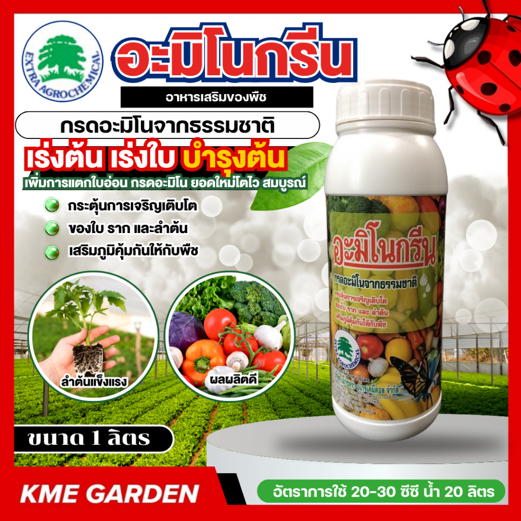 🍄อาหารเสริม🍄 อะมิโนกรีน ขนาด 1 ลิตร เร่งต้น เร่งใบ บำรุงต้น เพิ่มการแตกใบอ่อน กรดอะมิโน ยอดใหม่โตไว สมบูรณ์ แข็ง อาหารเส