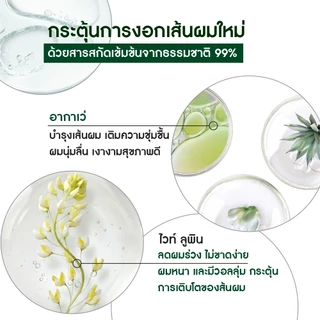 [แพ็คคู่] อีฟ โรเช Yves Rocher Anti-Hair Loss Conditioner 200 มล. ครีมนวดลดผมร่วง - ดูแลปัญหาผมหลุดร่วง