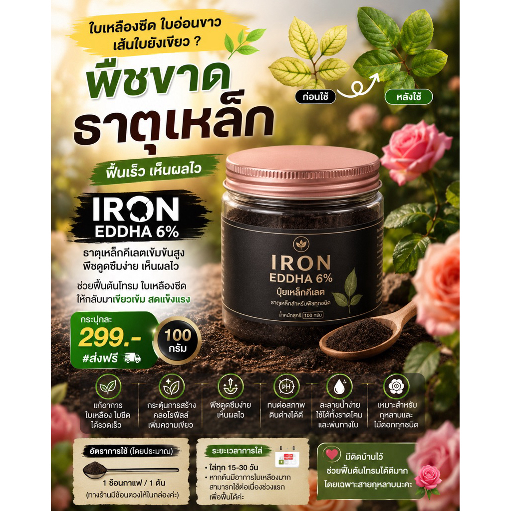 ปุ๋ยเหล็กดำ I RON EDDHA 6%