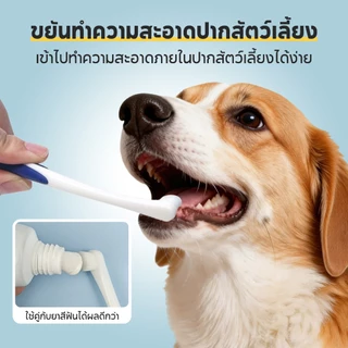 แปรงฟัน แปรงสีฟัน สำหรับสัตว์เลี้ยง แปรงสีฟันแมว ขนแปรงนิ่ม ขจัดคราบหินปูน ไม่บาดเหงือก การดูแลเหงือกและฟันอย่างอ่อนโยน