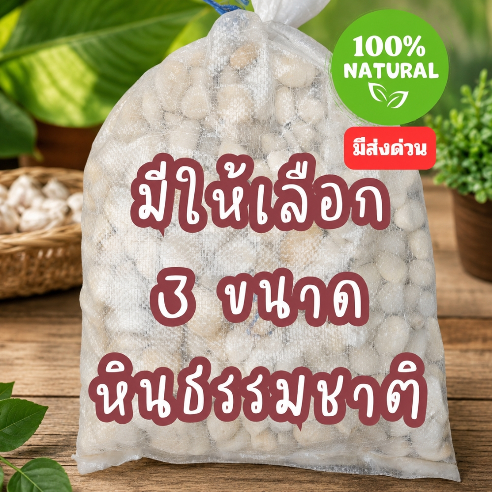หินแม่น้ำ หินขาว ยกกระสอบ ✅ 6-7กิโล หินกรวด หินโรยกระถาง หินตกแต่งสวน หินตกแต่งตู้ปลา หินโรยสนาม