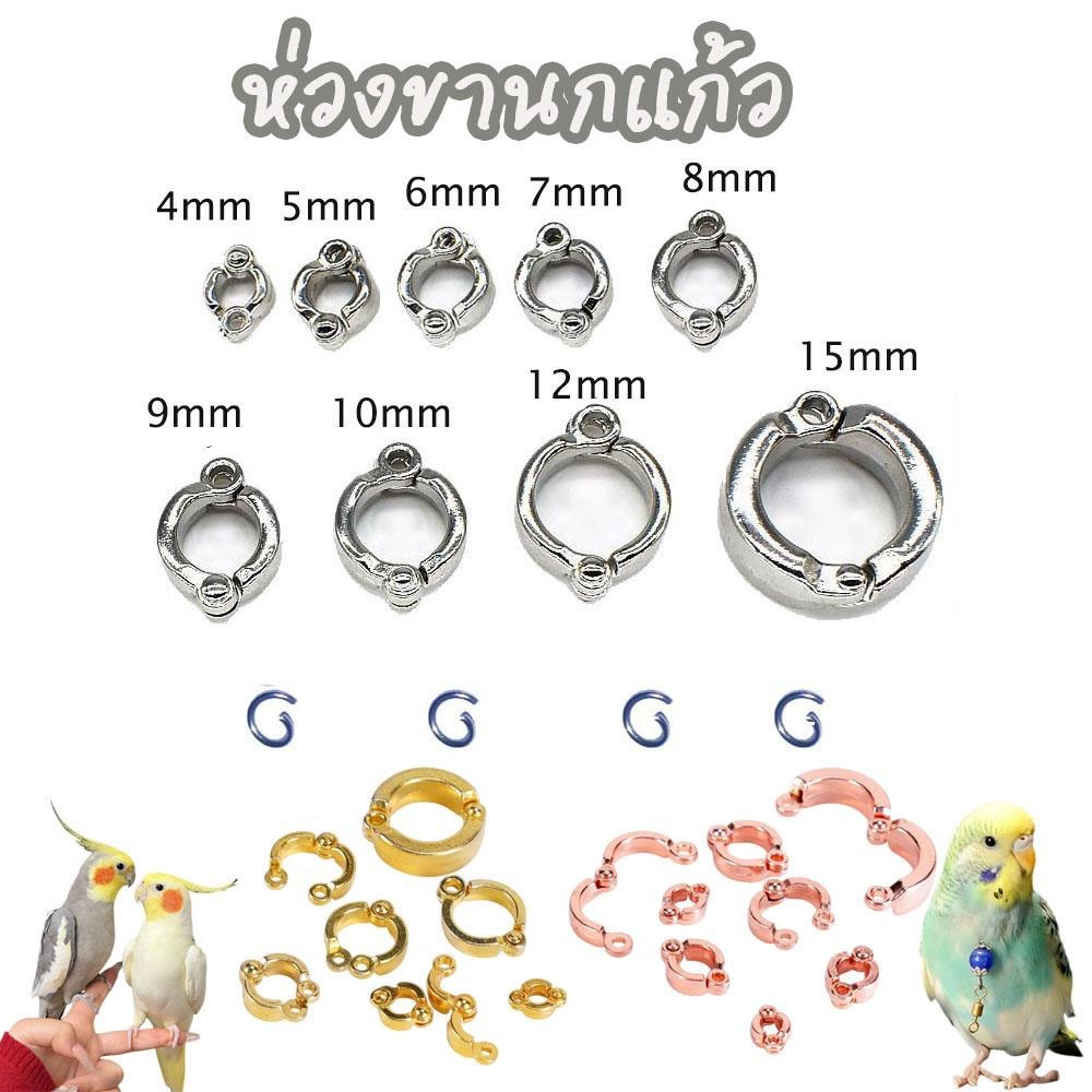 ห่วงขานกแก้ว Birds Foot Ring แหวนข้อเท้าสำหรับฝึกนก อุปกรณ์ฝึกนก โซ่ นก ห่วง ขานก ห่วง
