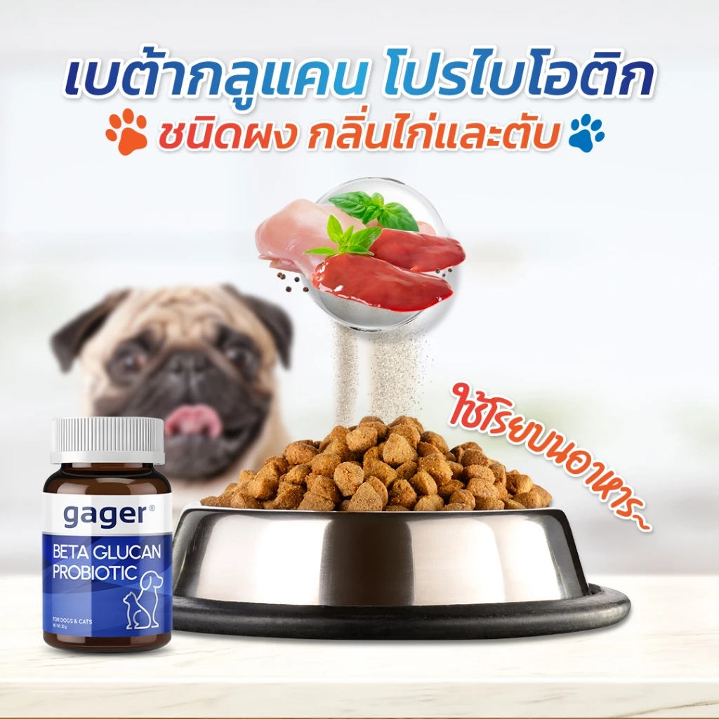 Gager (กาเจอร์) วิตามินหมา วิตามินแมว ผงเบต้ากลูแคน+โปรไบโอติค2in1 เสริมสร้างภูมิคุ้มกัน กลิ่นไก่ผสมตับ  (มีตัวเลือก) thumbnail 6