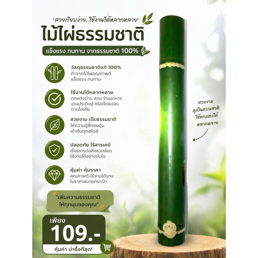 ไม้ไผ่ตัดสดยาว35-50cm.