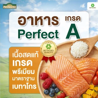 Perfecta อาหารแมว เกรดพรีเมี่ยม แมวโต อายุ 1 ปี ขึ้นไป สูตรแซลมอน เนื้อสดแท้ Human grade ขนาด 3 กก.