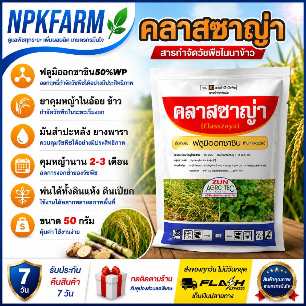 คลาสซาญ่า ซูมิเคน ขนาด 50 กรัม ฟลูมิออกซาซิน 50 % WP ซูมิโซยา คุมหญ้าใบแคบใบกว้าง ในอ้อย มันสำปะหลัง